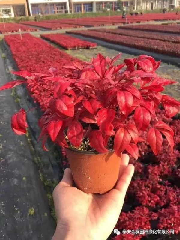 微信圖片_20220723161414.jpg 微信圖片_20220723161414.jpg