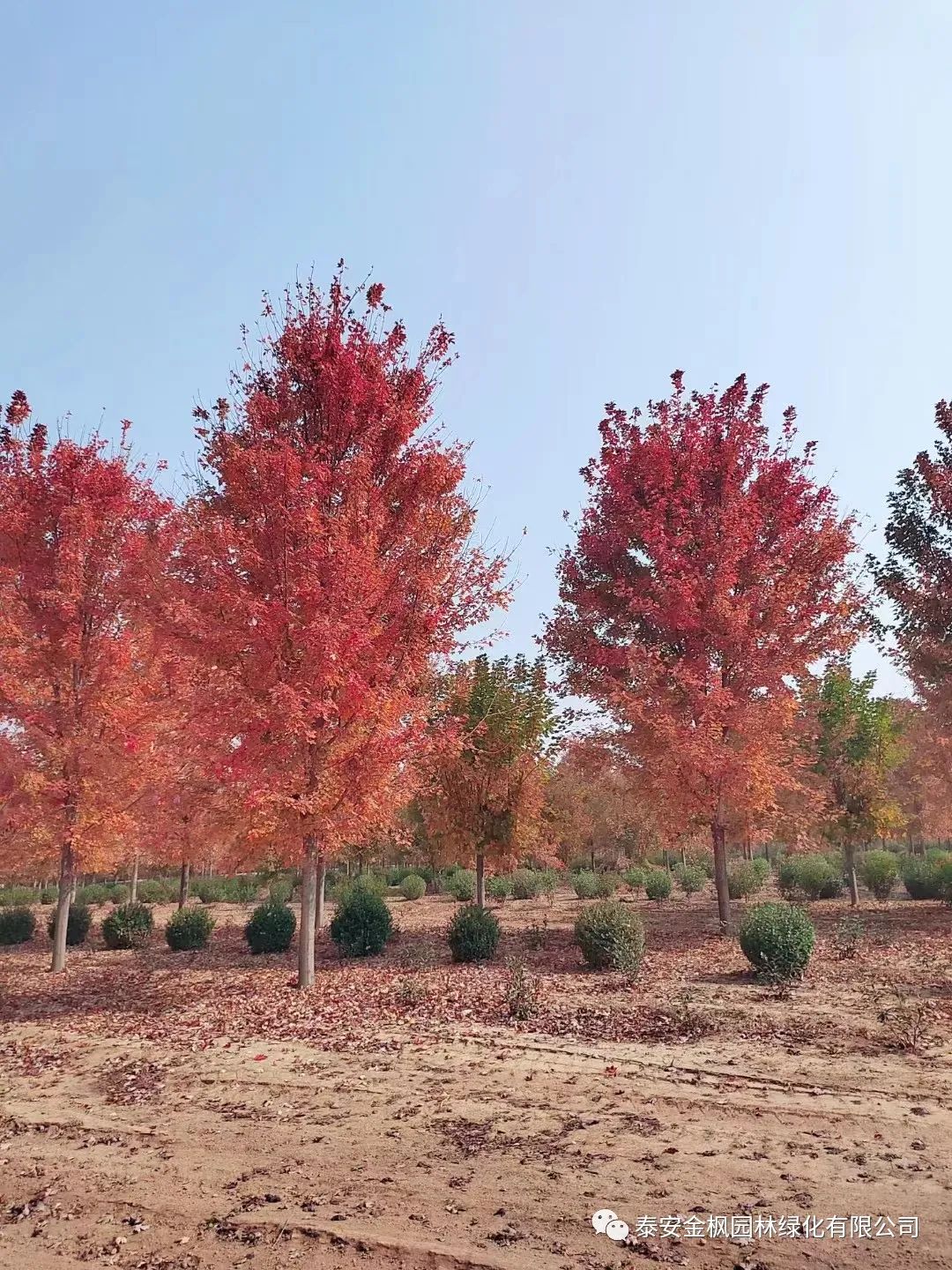 微信圖片_20221227162519 微信圖片_20221227162519